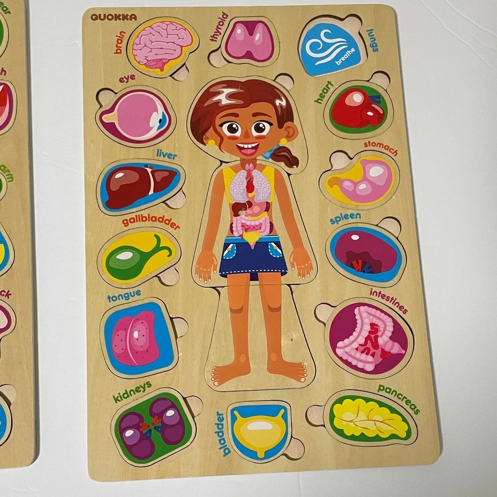 Kids Wooden Anatomy Puzzle - Brown Educational Body Parts Game - Picture 6 of 8